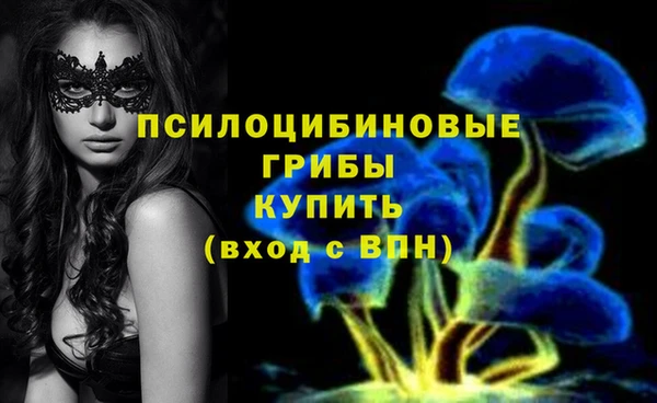 каннабис Богданович