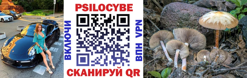 Галлюциногенные грибы GOLDEN TEACHER  Козельск 